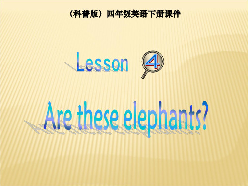 科普版英语四年级下册：lesson4  教学课件