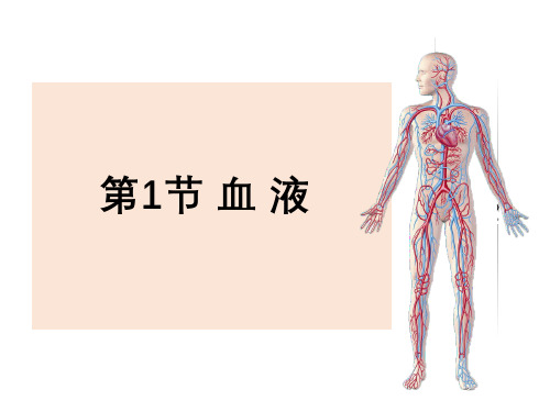 北师大版七年级生物下册9.1 血液 精品课件