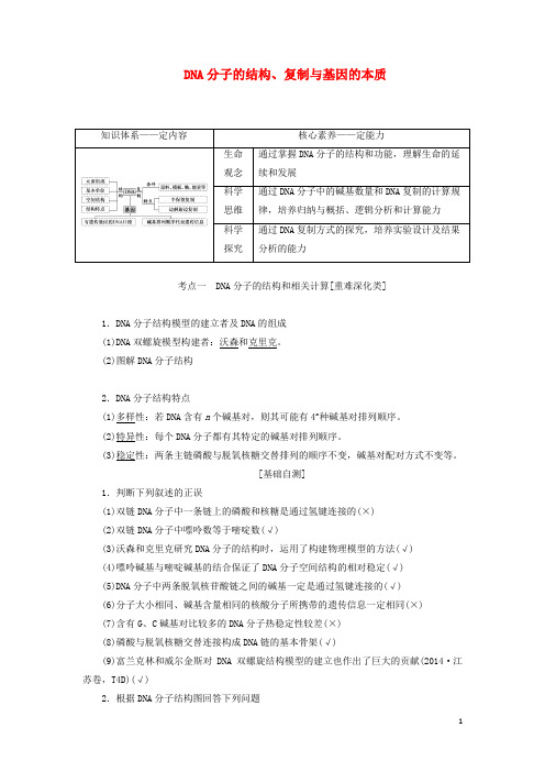 高考生物一轮复习第六单元第二讲DNA分子的结构复制与基因的本质学案含解析