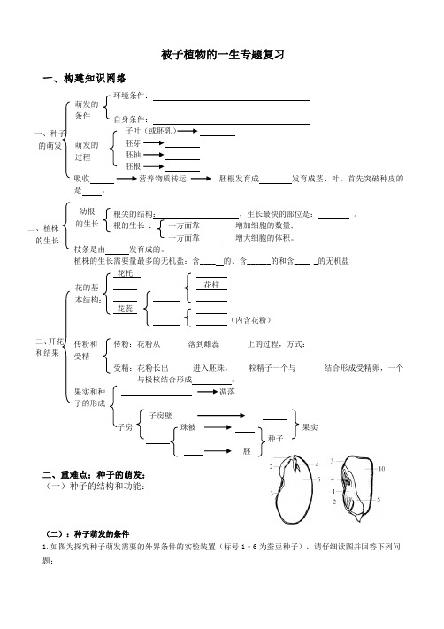 被子植物的一生专题复习