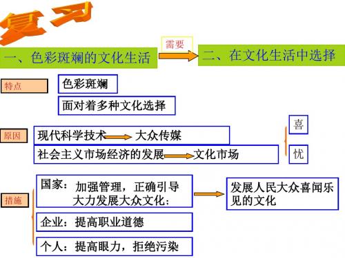 在文化生活中选择(1)