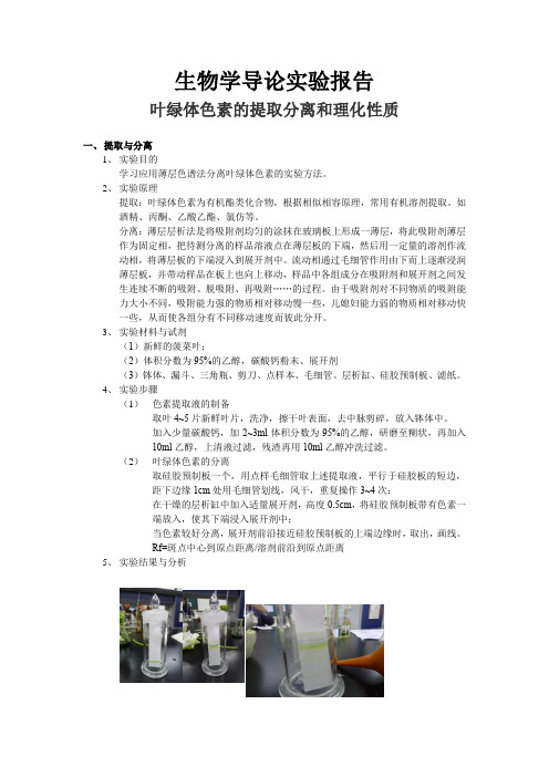 叶绿体色素的提取分离和理化性质实验报告