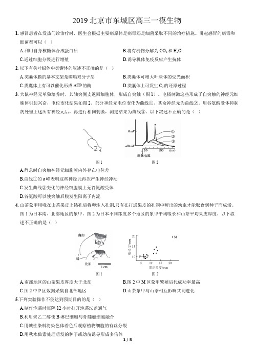 2019北京东城高中生物一模