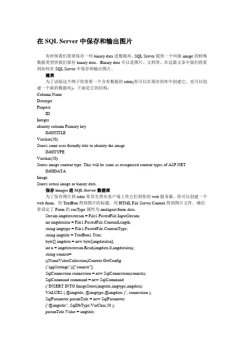 在SQL Server中保存和输出图片