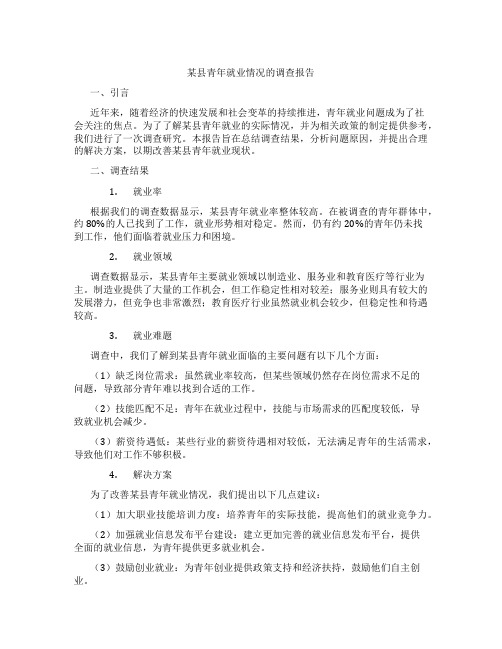 某县青年就业情况的调查报告