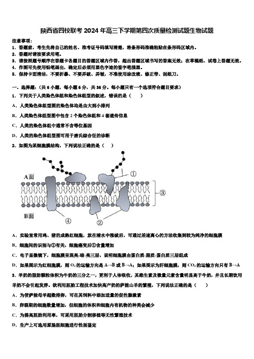 陕西省四校联考2024年高三下学期第四次质量检测试题生物试题含解析