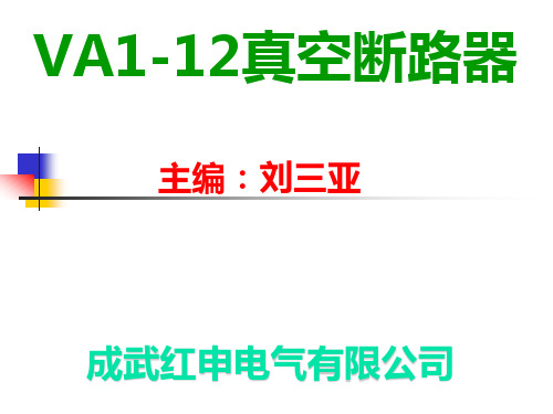 VA1-12真空断路器