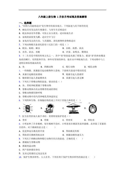 八年级上册生物 1月份月考试卷及答案解答