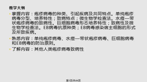 单纯疱疹病毒PPT课件