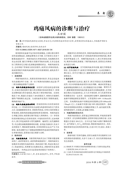 鸡痛风病的诊断与治疗