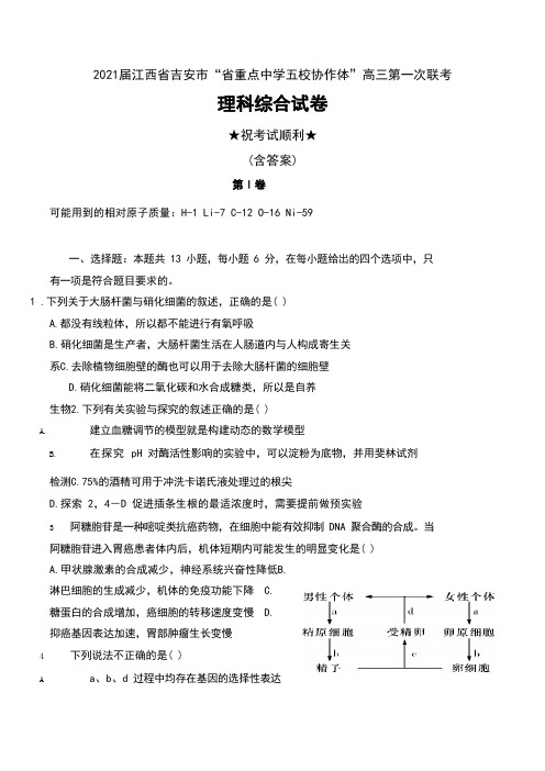 2021届江西省吉安市“省重点中学五校协作体”高三第一次联考理科综合试卷及答案