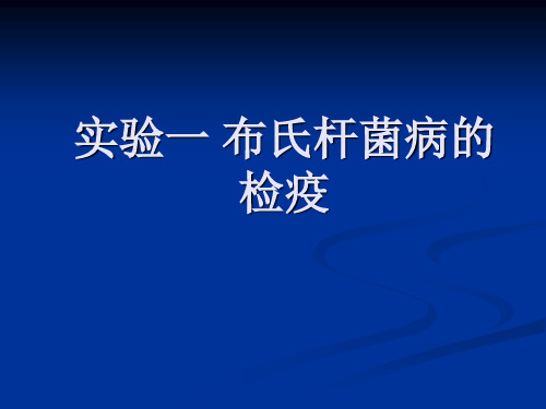 实验一 布氏杆菌病的检疫