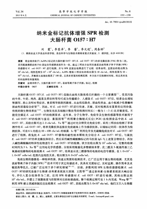 纳米金标记抗体增强SPR检测大肠杆菌O157∶H7