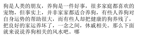 哪些人养狗会影响财运