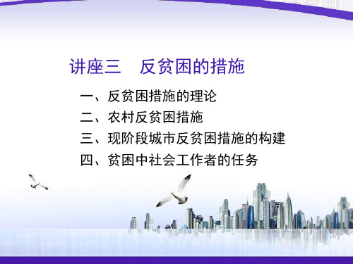 讲座三反贫困的措施