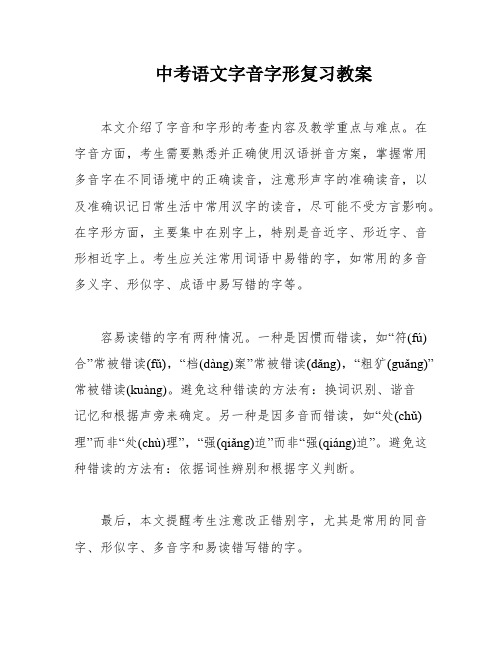 中考语文字音字形复习教案