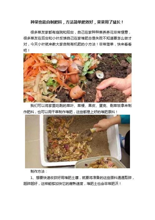 种菜也能自制肥料，方法简单肥效好，菜菜用了猛长！