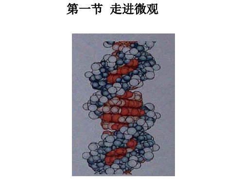 走进微观(物理课件)(2)