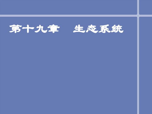 苏教版生物八上19.1《生态系统的组成》课件(共24张PPT)