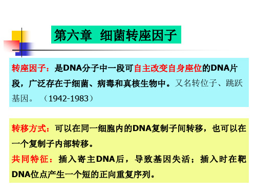 细菌转座因子的插入机制