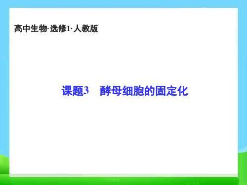 课题3 酵母细胞的固定化 课件(新人教版选修1)