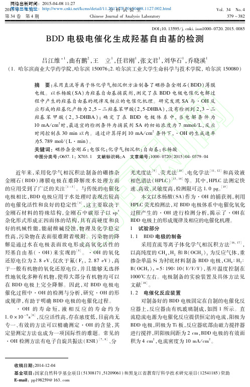 BDD电极电催化生成羟基自由基的检测_吕江维