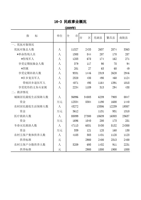 09-16-3民政事业概况