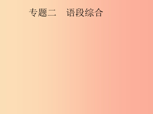 安徽省2019年中考语文 第1部分 专题2 语段综合复习课件