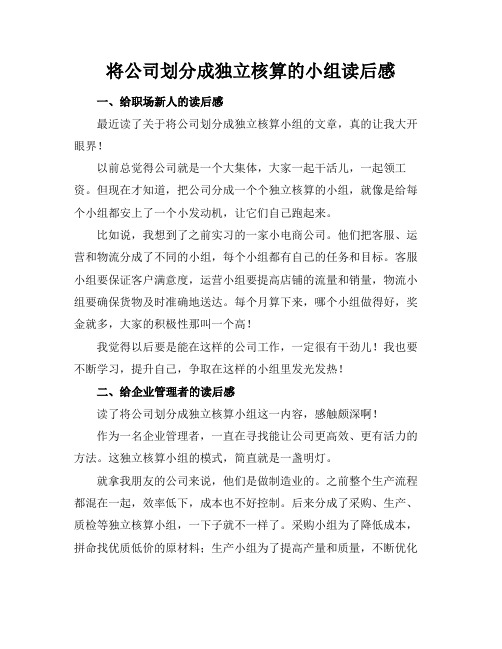 将公司划分成独立核算的小组读后感