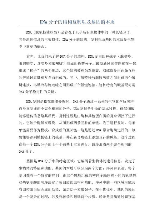 DNA分子的结构复制以及基因的本质