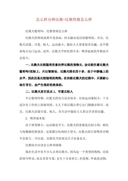 怎么样分辨比熊-比熊性格怎么样