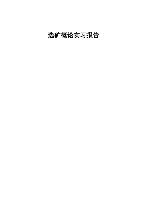 选矿概论实习报告