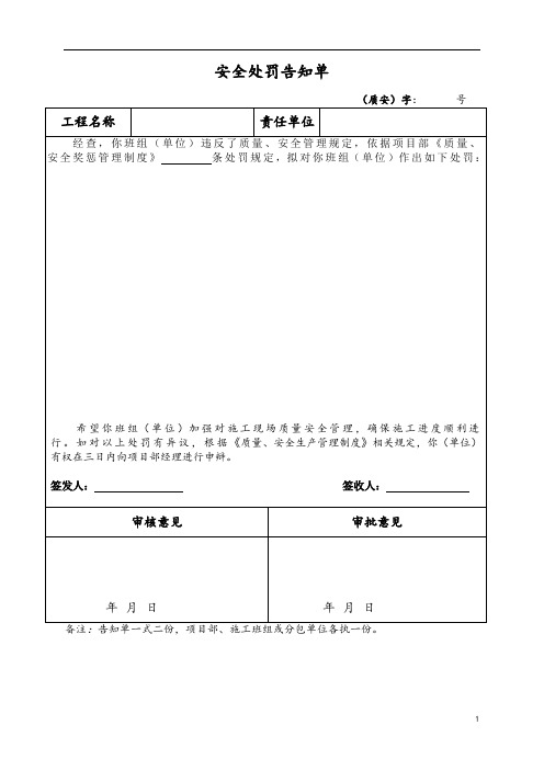 质量安全处罚通知单