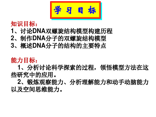 高中生物_制作DNA双螺旋结构模型教学课件设计