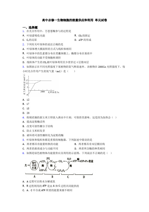 高中必修一生物细胞的能量供应和利用 单元试卷