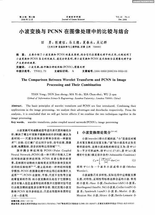 小波变换与PCNN在图像处理中的比较与结合