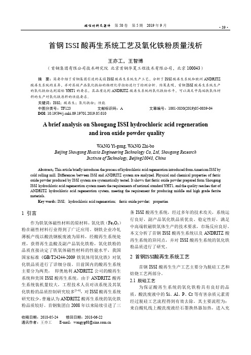 首钢ISSI酸再生系统工艺及氧化铁粉质量浅析