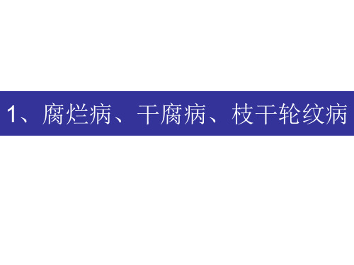 苹果种植技术 苹果主要病虫害防治