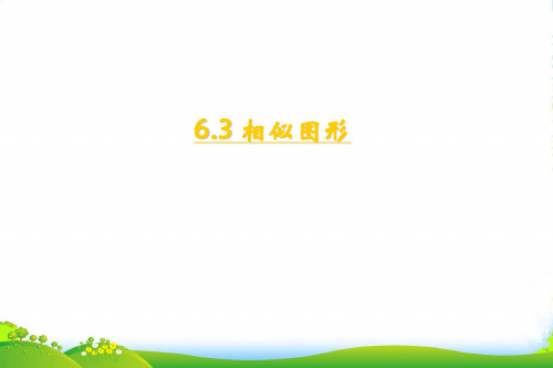 苏科版九年级数学下册第六章《6.3 相似图形》公开课课件