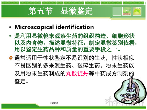 第三章生药的鉴定(5—6ppt