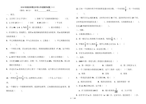 2018年泰安市博文中学小升初数学模拟试题及答案(5套)