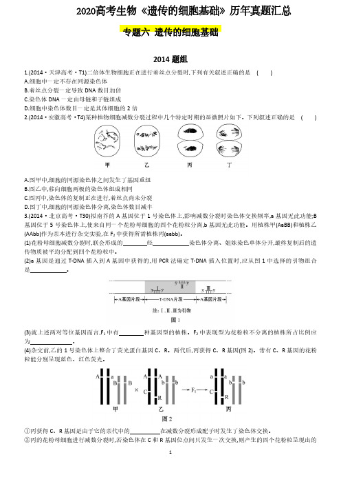 2020高考生物《遗传的细胞基础》历年真题汇总