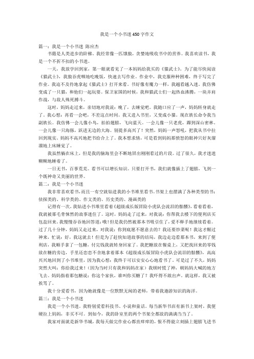 我是一个小书迷450字优秀作文作文