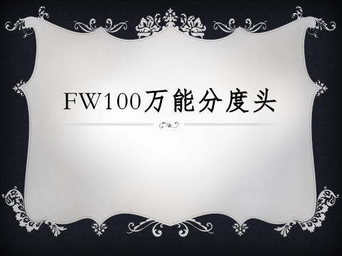 FW100万能分度头