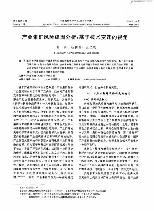 产业集群风险成因分析：基于技术变迁的视角