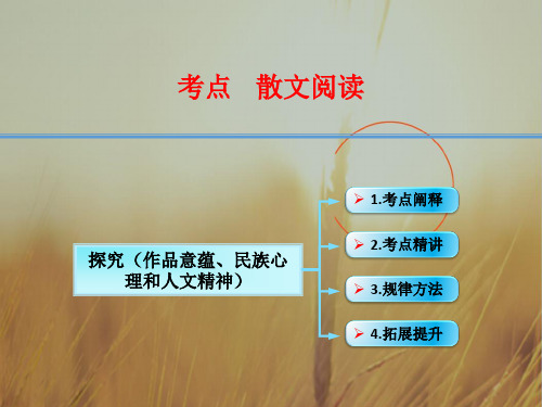 江西省横峰中学2018年高考语文第一轮复习散文阅读：探究作品意蕴、民族心理和人文精神课件