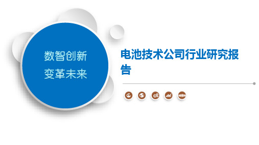 电池技术公司行业研究报告