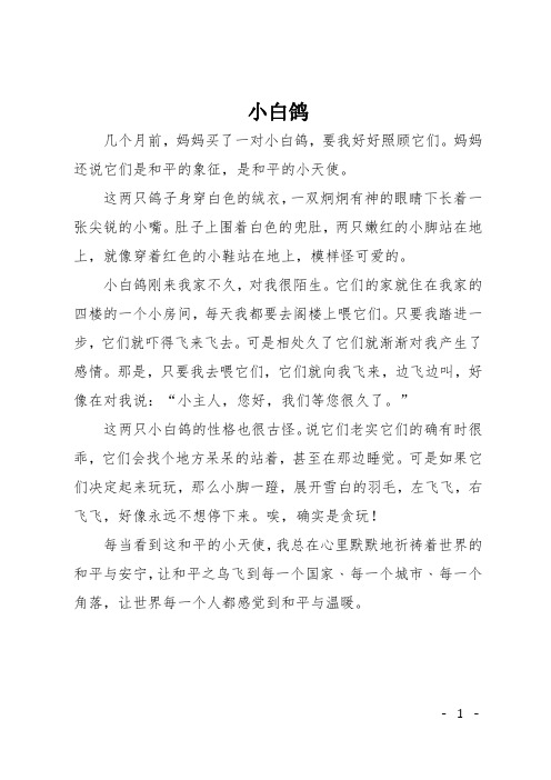 初一状物作文:小白鸽
