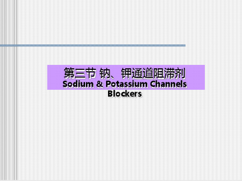 钠离子钾离子通道阻滞剂