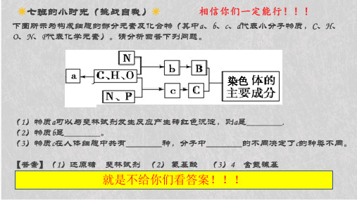 人教版高中生物必修一课件：2.4细胞中的糖类和脂质